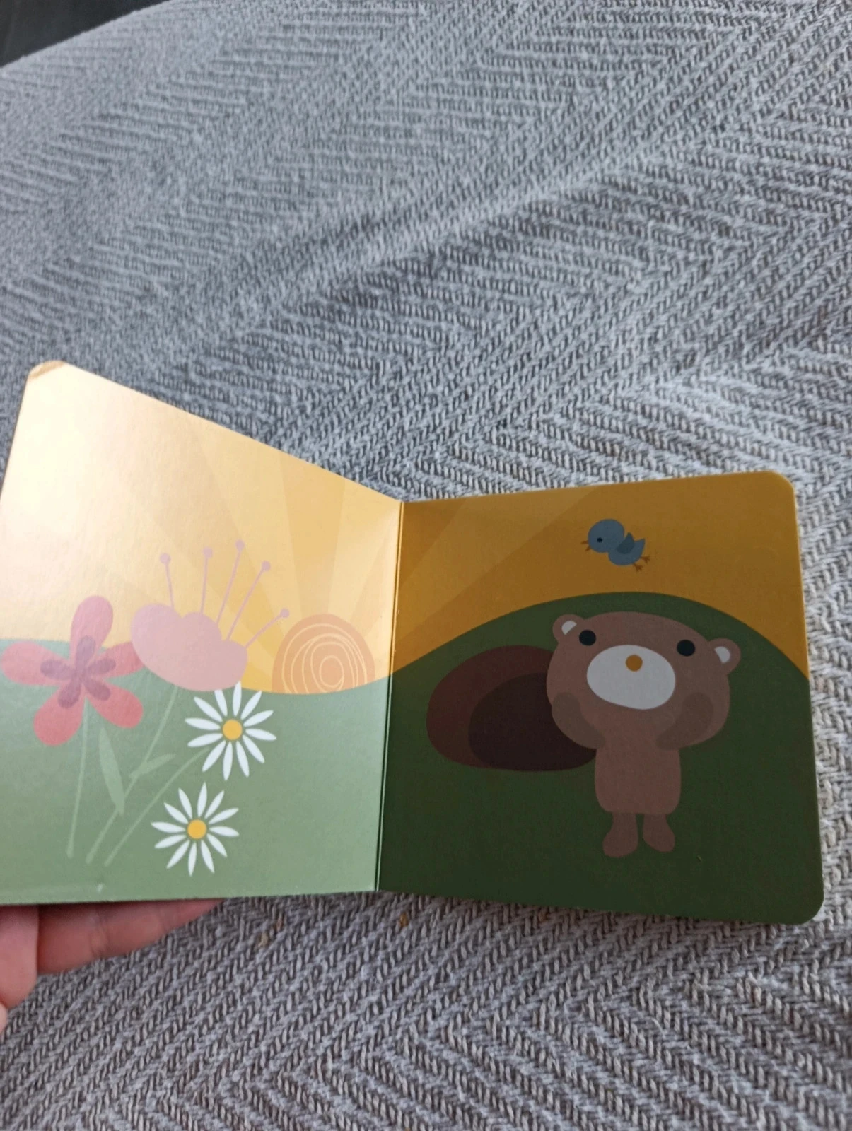 Gekartonneerd babyboek Een dag met Teddybeer en zijn vrienden Franck & Fischer – photo 2